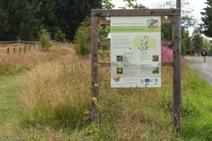 Einstieg Bergwiesenpfad