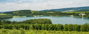 Hennesee