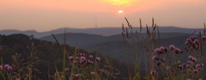 Sonnenuntergang in Altastenberg