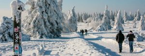 Winterwanderweg Kahler Asten